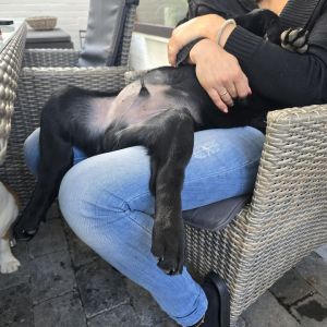 Profilbild