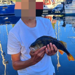 Profilbild