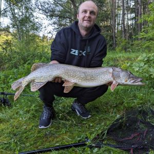 Profilbild