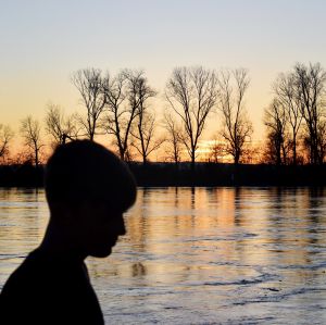 Profilbild