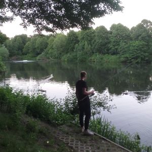 Profilbild
