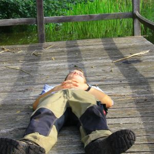 Profilbild