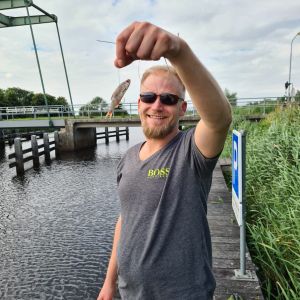 Profilbild