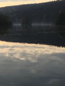 Klaus Lautenschlaeger