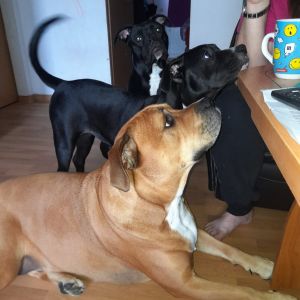 Profilbild
