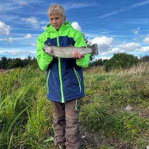 Profilbild