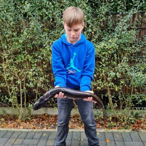 Profilbild
