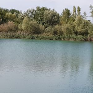 Maciej 123