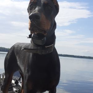Profilbild