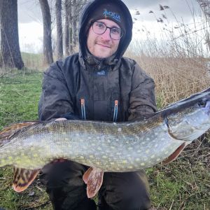 Raubfisch_Peitscher