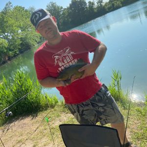 Profilbild