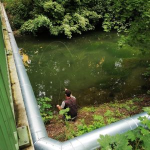 Trout Unlimited
