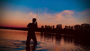 Fokussiert_zum_Fisch