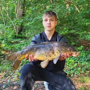 Profilbild
