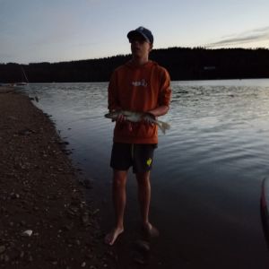 Profilbild