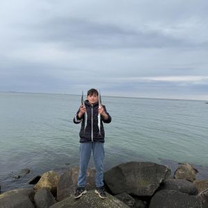 Profilbild