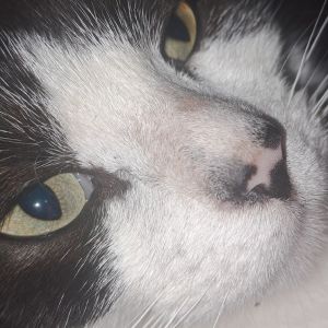 Profilbild