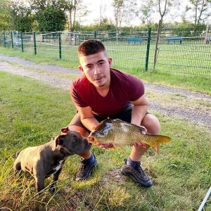 Profilbild