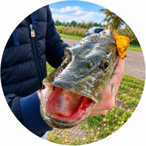 Profilbild