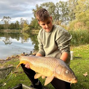 Profilbild