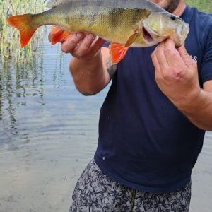 Christian Hildebrand