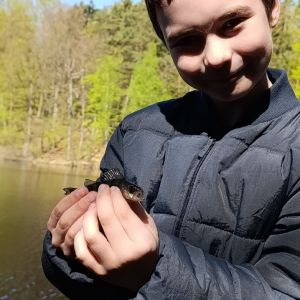 Profilbild