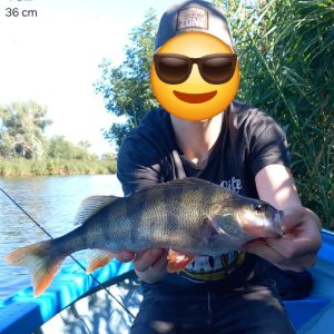 Profilbild