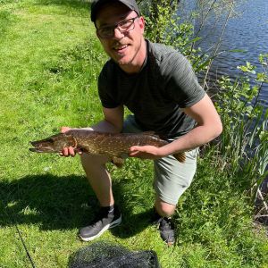 Profilbild