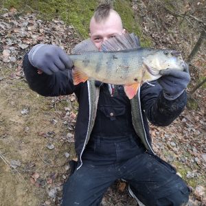 Profilbild