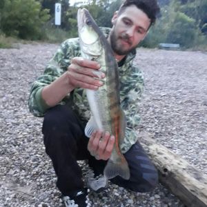 Profilbild