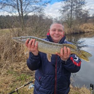 Profilbild