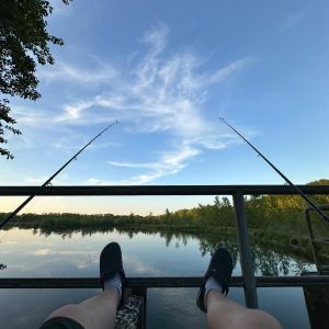 Profilbild