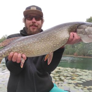 Dominik Florian Kaufmann