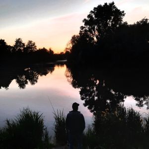 Profilbild