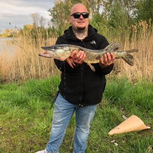 Profilbild
