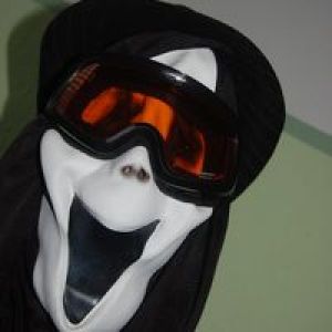 Profilbild
