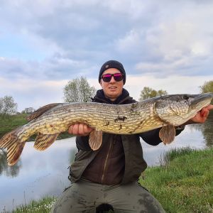 Esox Lucius Maximus