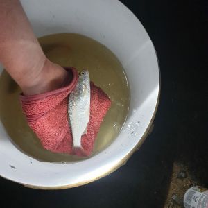 Profilbild