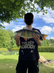 Profilbild