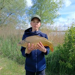 Profilbild