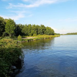 Rowaldi