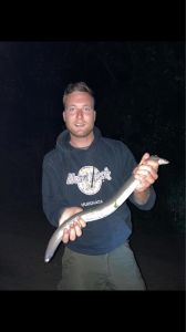 Profilbild