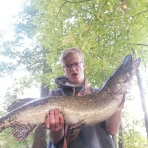 Profilbild