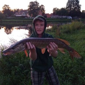 Profilbild