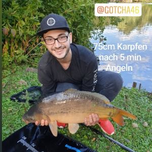 Profilbild