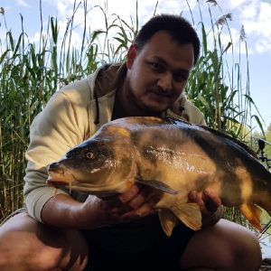 Chris Carp