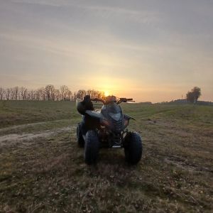 Profilbild