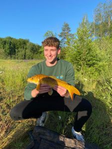 Profilbild