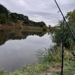 Florianie98