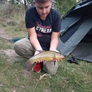 Profilbild